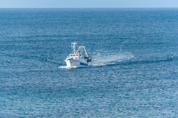 istock Fishing Boat on the Mediterranean Sea 906631576