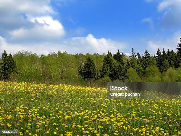 Spring Meadow Foto de stock y más banco de imágenes de Aire libre - Aire libre, Amarillo - Color, Azul