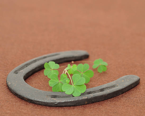 istock A bunch of clovers displayed with a rusty horse shoe 906634800