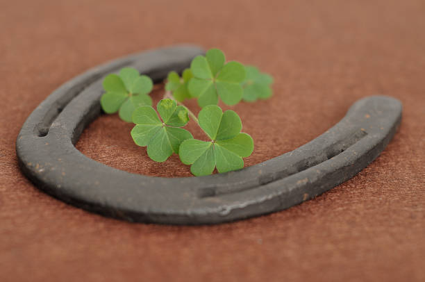 istock A bunch of clovers displayed with a rusty horse shoe 906634902