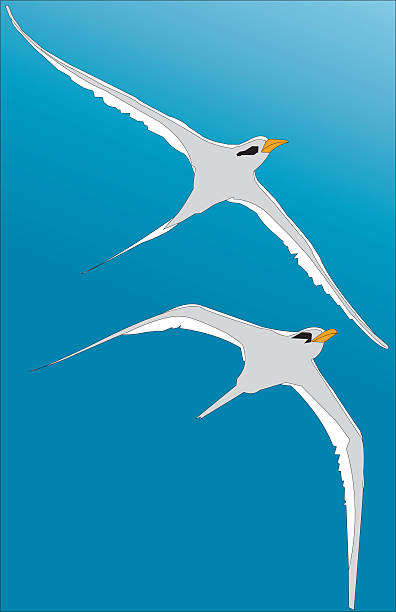 Oiseaux en vol illustration - Illustration vectorielle