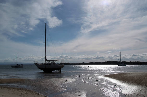 istock Stranded at Bribie Island Qld 906637946