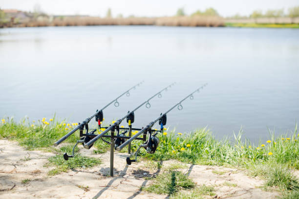 istock Three fishing rods on a lake 906638440