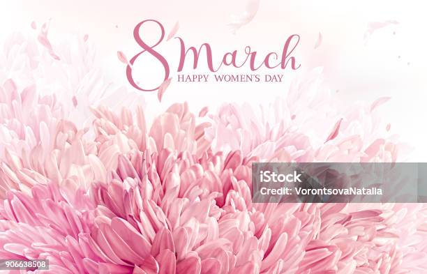 8 March Flower Greeting Card Stock Illustration - Download Image Now - Day, Women, Aster