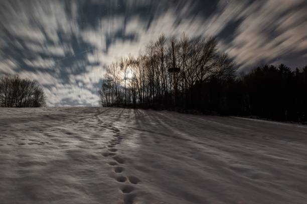 mât de radio à liebersberg près de grafenau dans une pleine lune nuit d’hiver, forêt de bavière, allemagne - full moon audio photos et images de collection