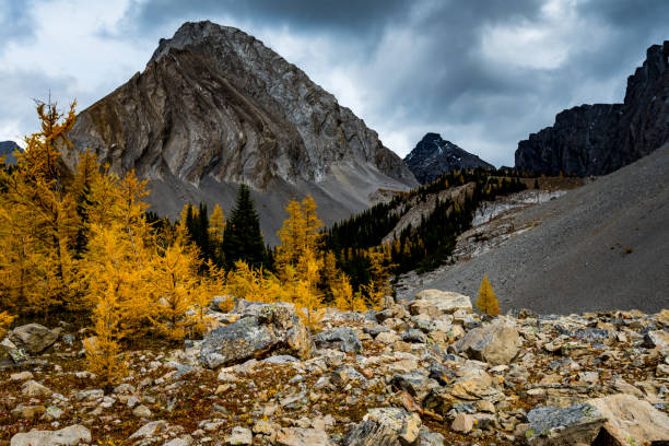 istock Chester Lake in Autumn 906644866