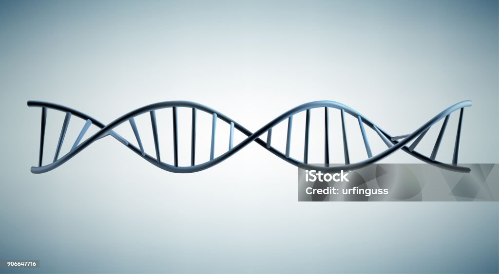 Modelo de ADN - arte vectorial de ADN libre de derechos