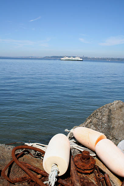 выбеленный buoys и пьюджет-саунд паром - ferry seattle washington state cruise ship стоковые фото и изображения