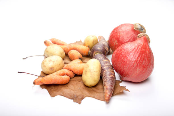 Carrots, potatoes, pumpkin on a leaf mirrored (Thanksgiving)