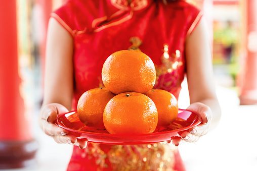 Woman in traditional red qipao dress worshipping god with oranges as an offering during Chinese new year season