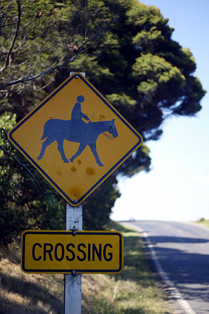 istock Horses Crossing Sign 90665888