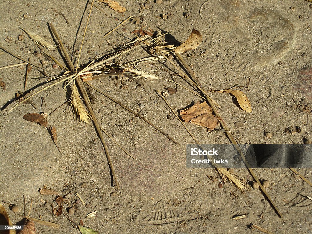 harvest: fondo - Foto de stock de Agosto libre de derechos