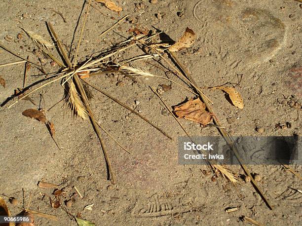 Harvest Fondo Foto de stock y más banco de imágenes de Agosto - Agosto, Aldea, Alimento