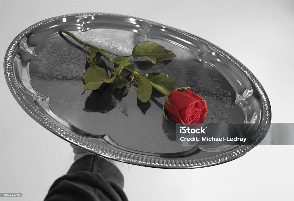 Rosa de San Valentín 2 - Foto de stock de Fuente de plata libre de derechos