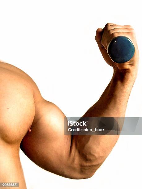 Músculo Puro - Fotografias de stock e mais imagens de Bíceps - Bíceps, Enrolado, Adulto