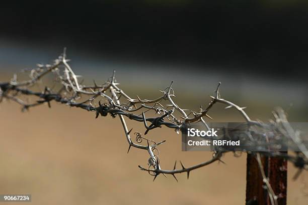 Keep Out Stock Photo - Download Image Now - Barbed Wire, Color Image, Danger