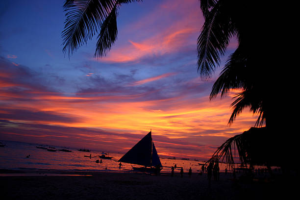 istock silhouette of sailboat & palm leaves 90667471