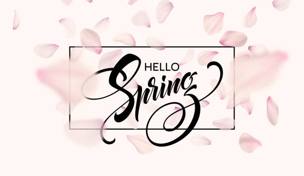 istock Spring lettering web banner template. Color pink sakura cherry blossom flower blue sky landscape background design. Vector illustration 906677334