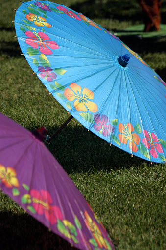 Two paper umbrellas with selective focus sit as decorations in the grass. A turquoise blue umbrella with tropical flare and a purple one in the foreground (out of focus).