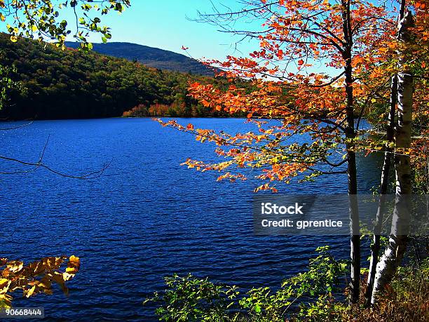 Jezioro W Jesień - zdjęcia stockowe i więcej obrazów Bez ludzi - Bez ludzi, Brzoza, Cień