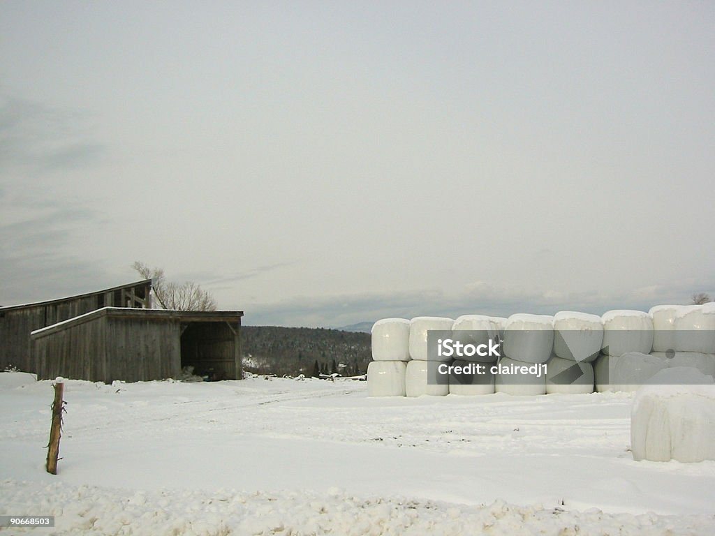 Bales наборный в луг - Стоковые фото Амбар роялти-фри