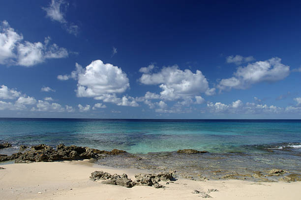 Salt Cay Color 110+ Salt Cay Photos Stock Photos, Pictures & Royalty-Free Images - iStock
