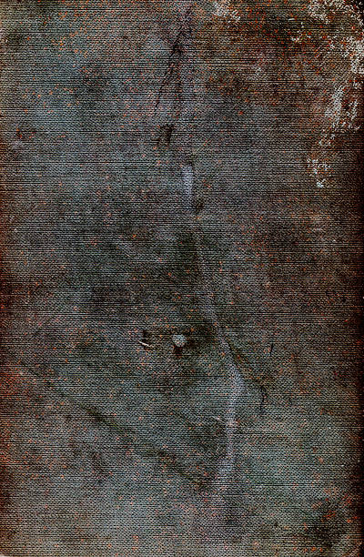 abstrato grunge capa de livro de fundo de superfície - neck ruff sleaze photographic effects textured - fotografias e filmes do acervo