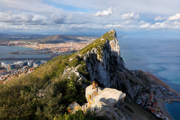 vue du rocher de gibraltar - rock of gibraltar photos et images de collection