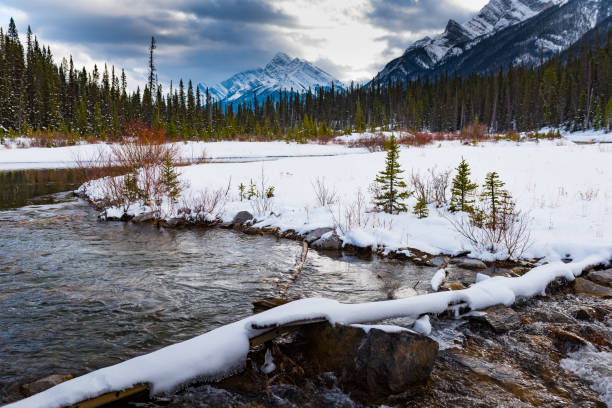 istock Snowshoeing in the mountains 906691848