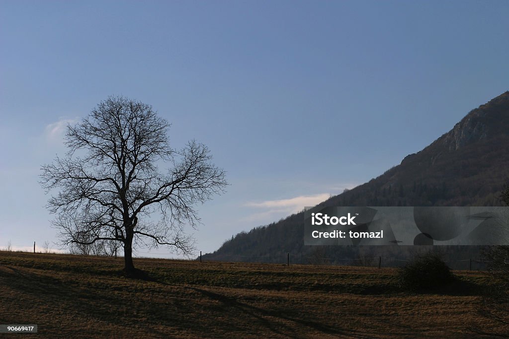 Solo - Foto de stock de Aire libre libre de derechos