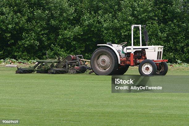 Foto de Com Cortador De Grama Tipo Minitrator e mais fotos de stock de Agricultura - Agricultura, Cena Rural, Cortador de grama - Equipamento de jardinagem