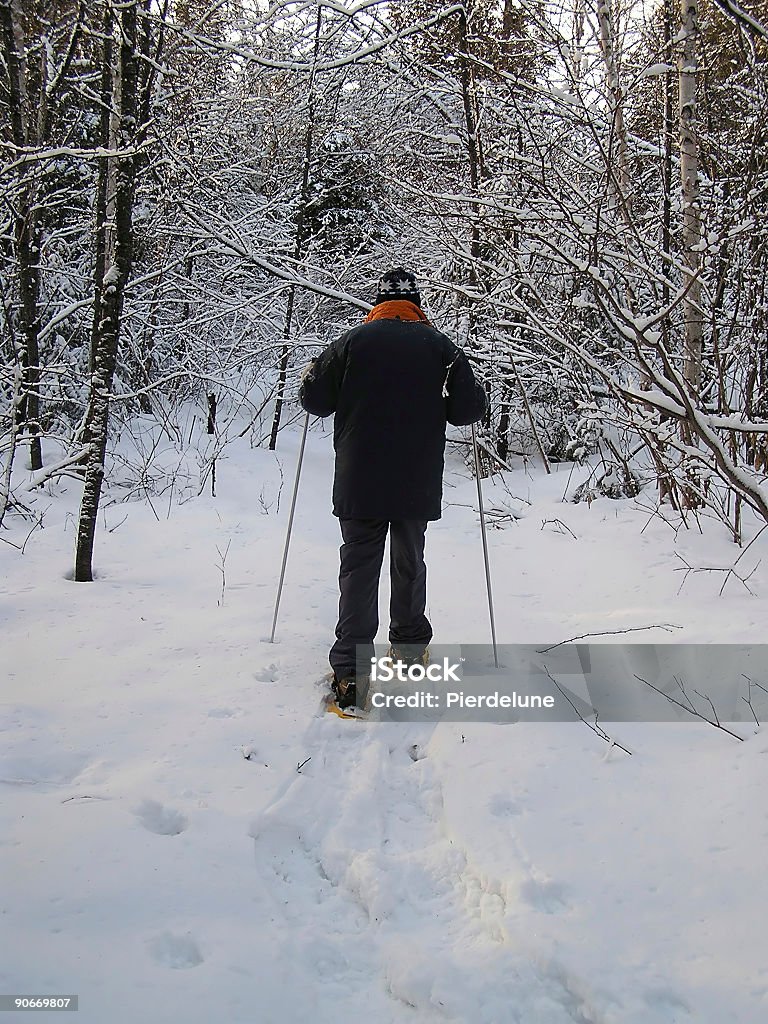 Старший Хуан. на лыжах - Стоковые фото 70-79 лет роялти-фри