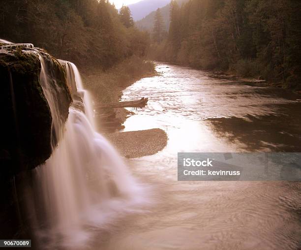 Cascata Fluir Para Dentro Do Rio Lewis - Fotografias de stock e mais imagens de Ao Ar Livre - Ao Ar Livre, Beleza natural, Cair