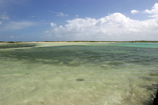 Shallow Sea  turks and caicos islands caicos islands bahamas island stock pictures, royalty-free photos & images