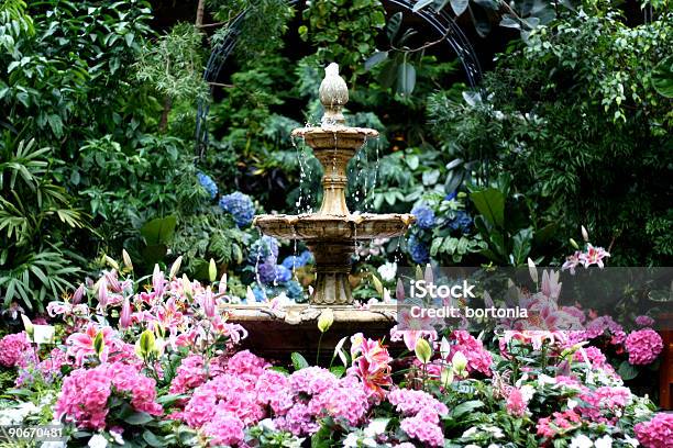 Fuente Fountain Foto de stock y más banco de imágenes de Agua - Agua, Anual - Característica de planta, Cabeza de flor