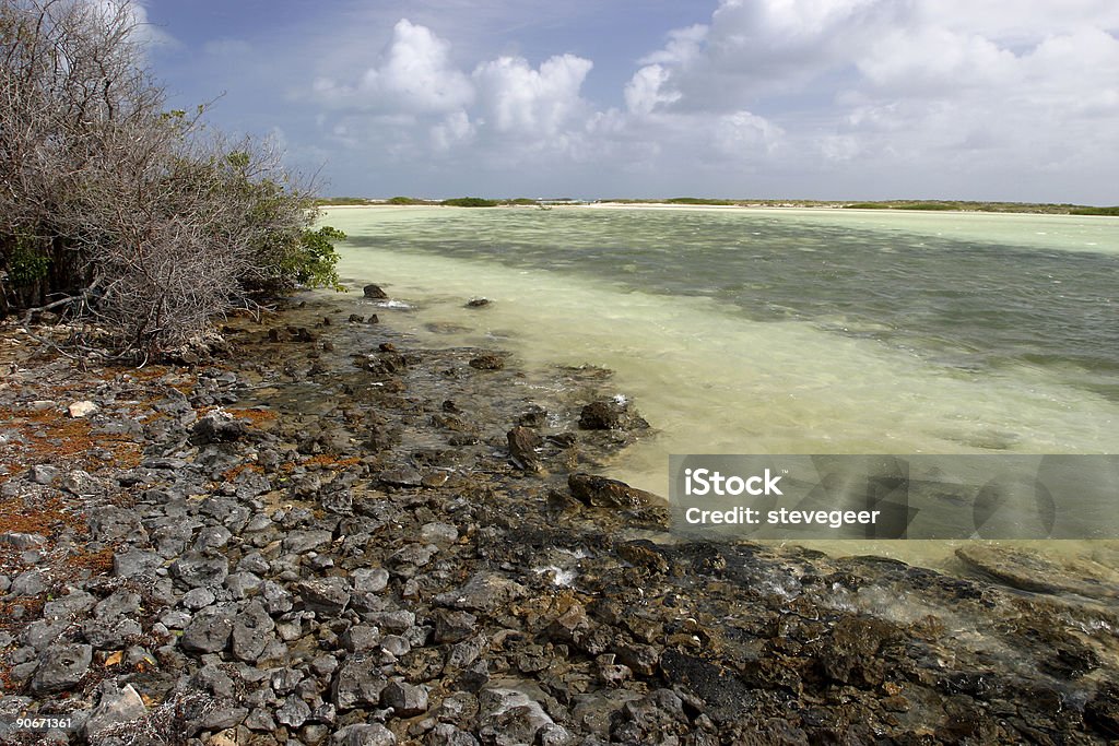 Tropikalne Seashore - Zbiór zdjęć royalty-free (Bahamy)
