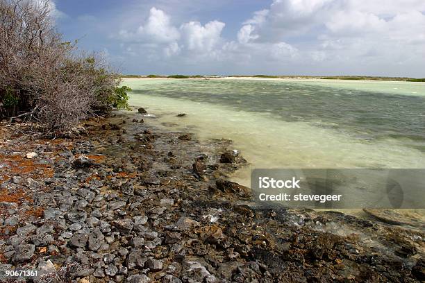 Tropikalne Seashore - zdjęcia stockowe i więcej obrazów Bahamy - Bahamy, Bez ludzi, Brzeg wody