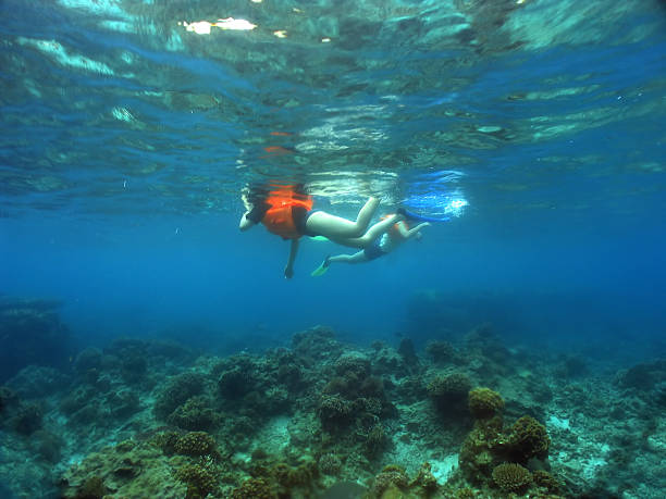 istock Snorkelling in crystal clear tropical ocean 90671472