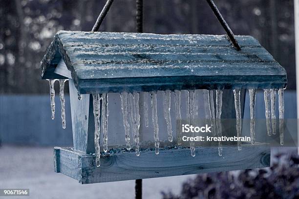 Nienasycony Icy Birdfeeder - zdjęcia stockowe i więcej obrazów Bez ludzi - Bez ludzi, Burza śnieżna, Chłodny