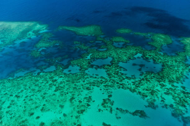 istock Aerial view of Moore Reef on the outer Great Barrier Reef 906715706