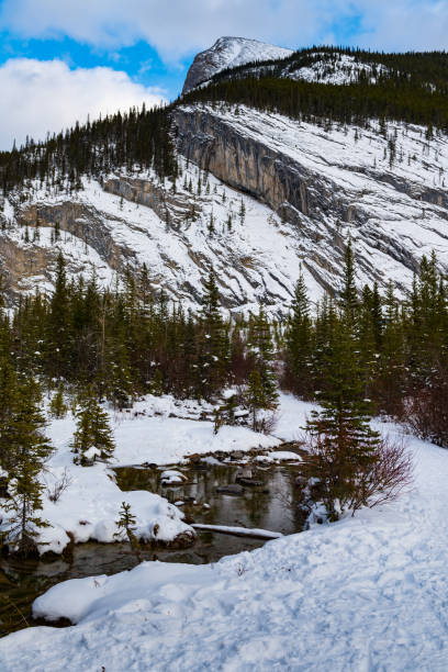 istock Snowshoeing in the mountains 906716242