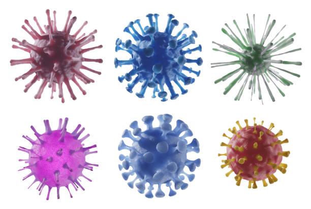 raccolta di virus isolati su sfondo bianco. illustrazione renderizzati in 3d. - influenza a virus foto e immagini stock