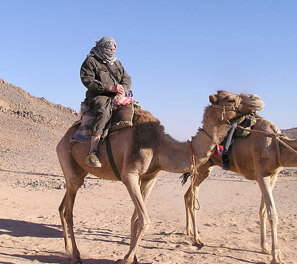 istock Senior tourist on camel 4 90672055