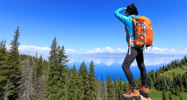 istock successful Hiker looking at the view on mountain top 906723452