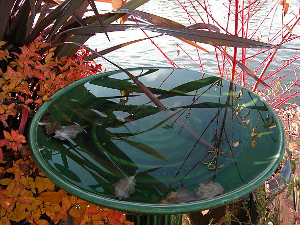 Fall birdbath stock photo