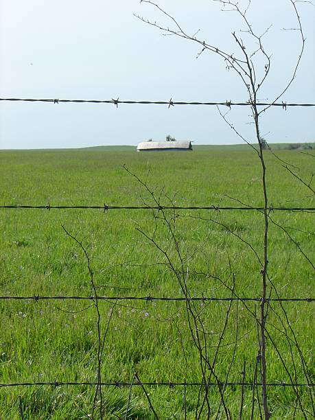 California Farm stock photo