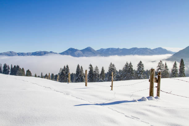 Fog in the valley and sun on the mountains - Winter idyll in the Isarwinkel near Bad Toelz
