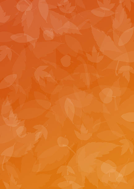 季節の 1 （秋/秋） - image vertical color image nobody ストックフォトと画像