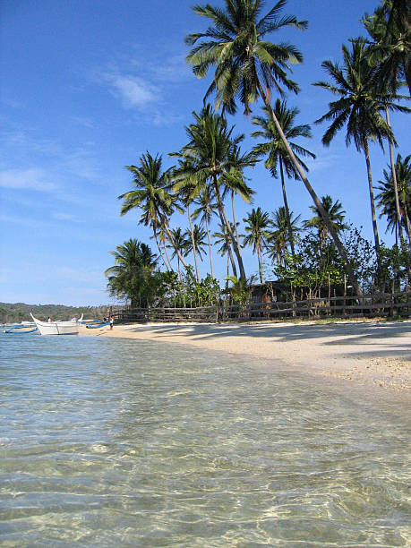 cristalline acque blu cielo di bianca spiaggia filippine - puerto galera foto e immagini stock