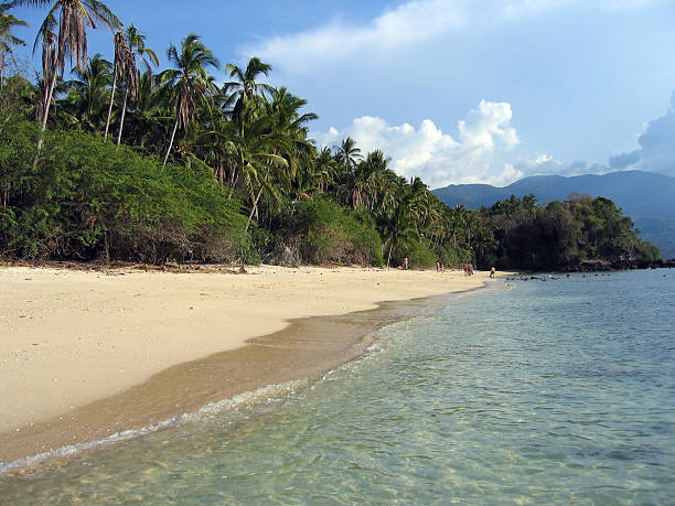 filippine spiaggia tropicale palme - puerto galera foto e immagini stock